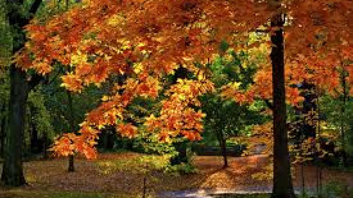 prognoza meteo cum va fi vremea in acest weekend