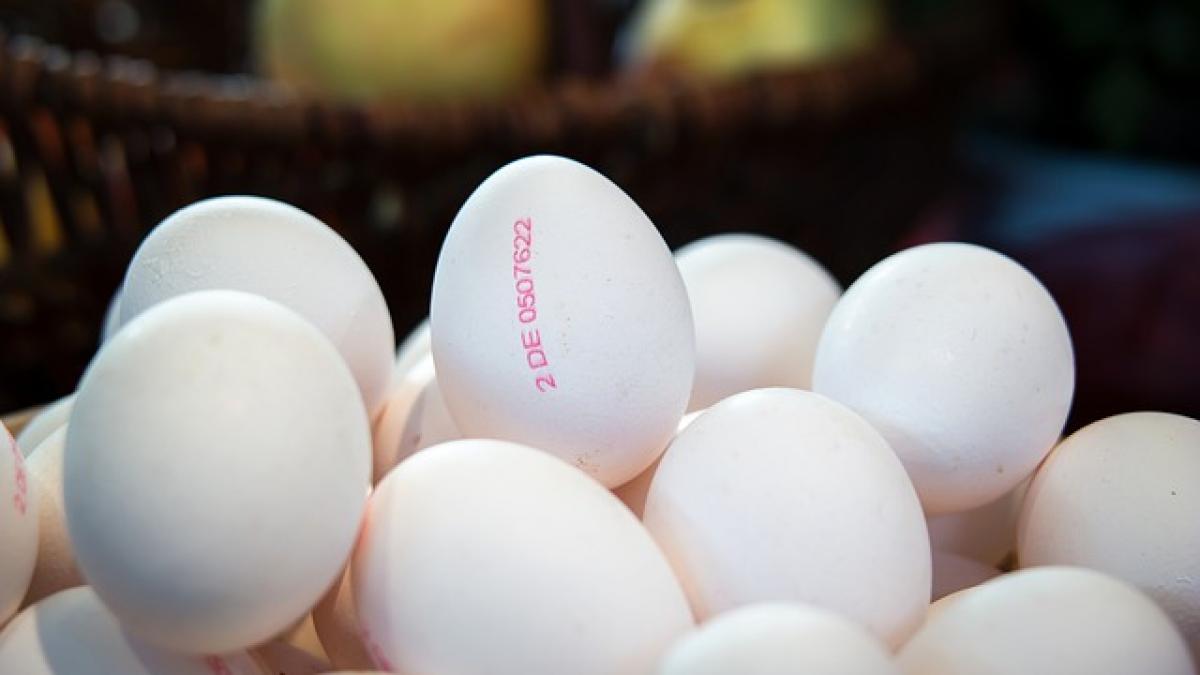 10 000 de oua cu salmonela au ajuns in magazine din romania