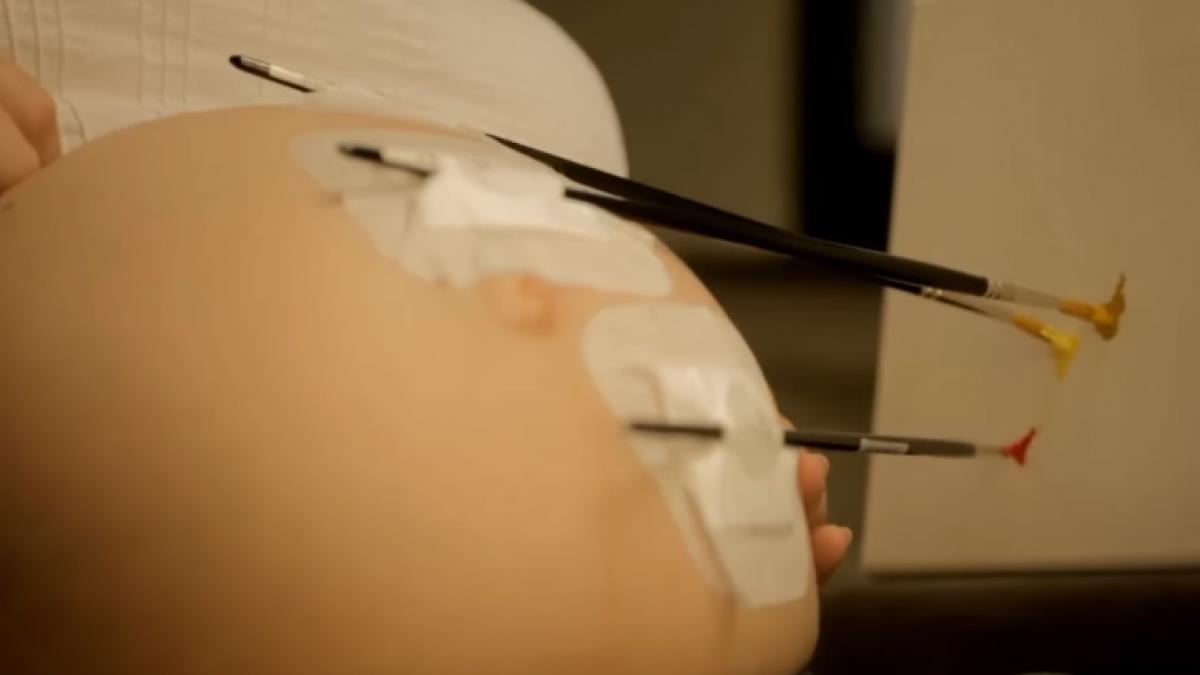 o viitoare mama si a lipit de burtica mai multe pensule cum arata primul tablou al pictorului