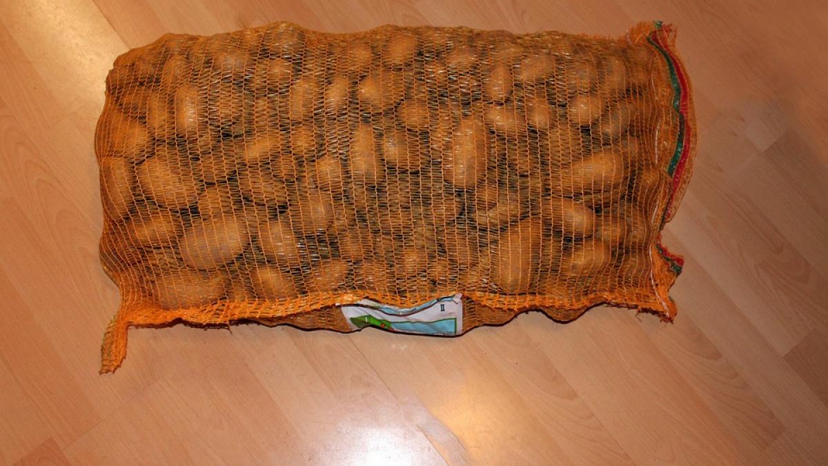 au cumparat un sac cu cartofi dar nu se asteptau sa gaseasca asa ceva au trait clipe de groaza