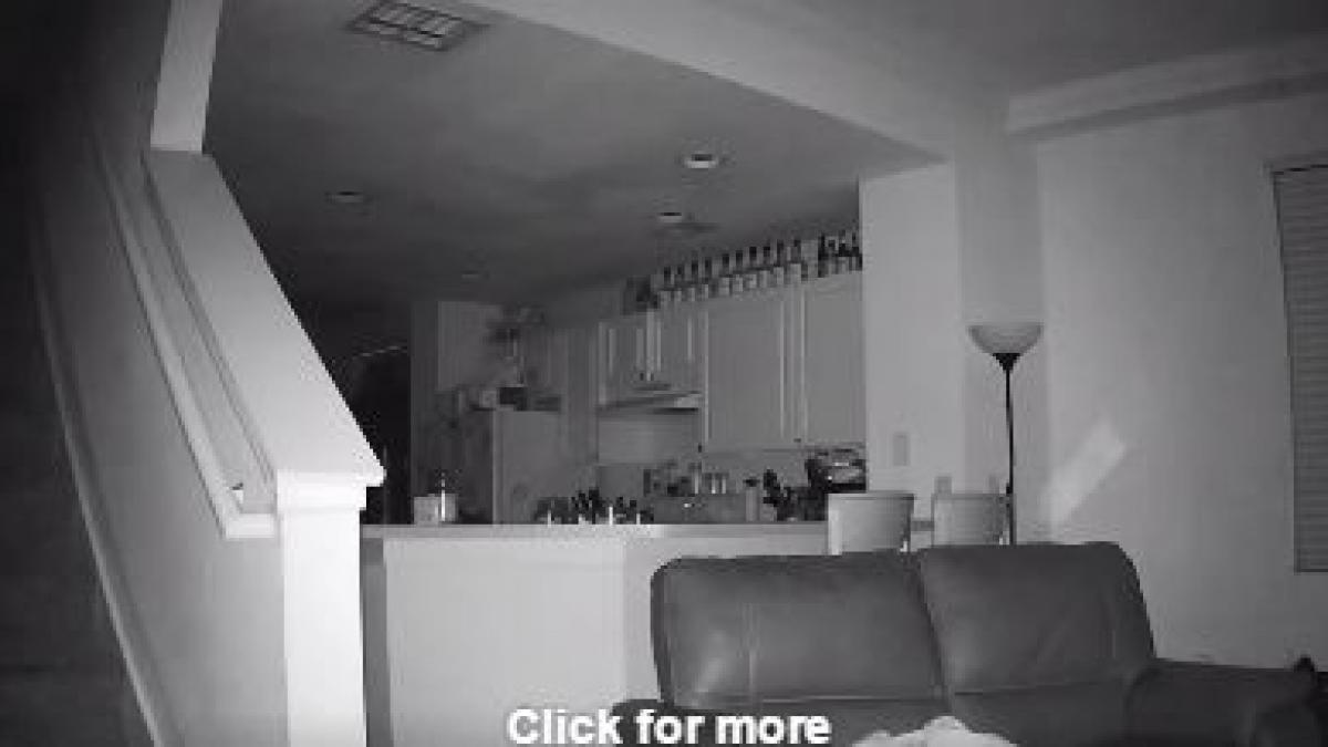 auzea zgomote ciudate in casa in toiul noptii a ramas blocat cand s a uitat pe camerele de