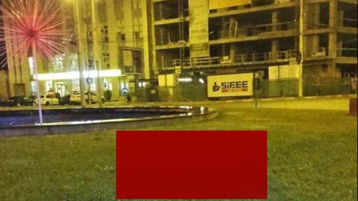 o vulpe a fost surprinsa in centrul sibiului