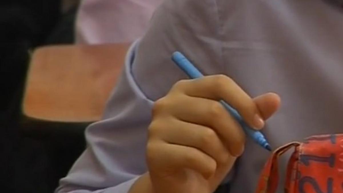 prima scoala fara teme