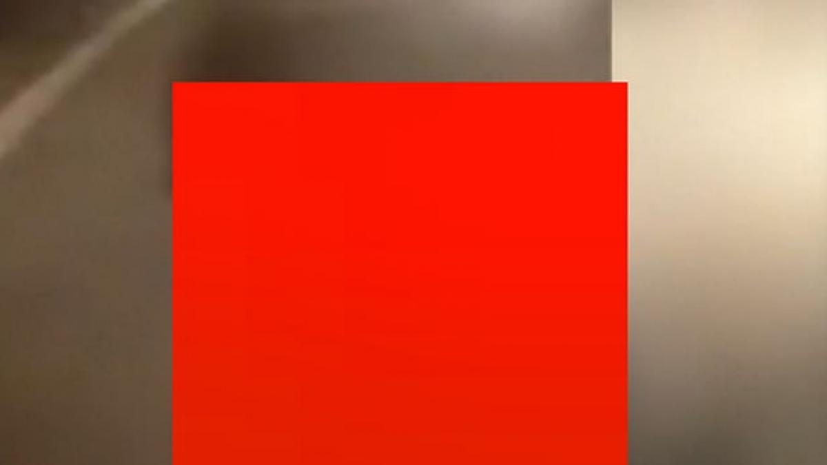 aparitie surprinzatoare pe o strada din botosani