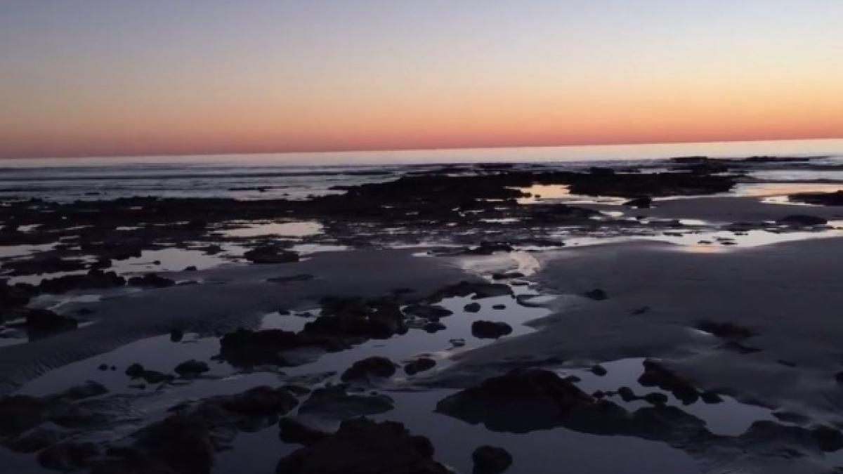 descoperire macabra pe o plaja din constanta