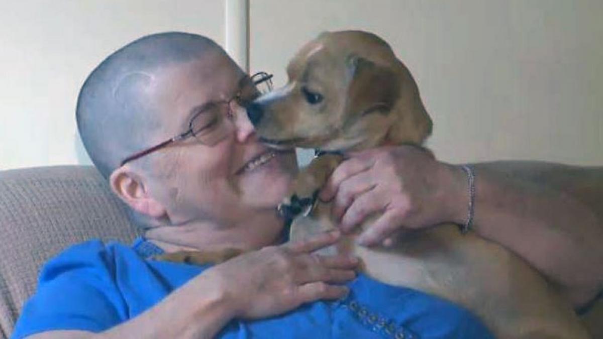 a adoptat acest catel de la un adapost nu stia ca gestul sau ii va salva viata