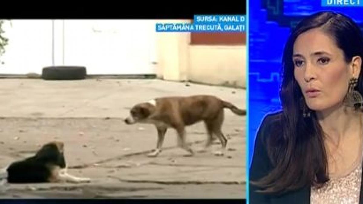 clotilde armand sa nu idealizam occidentul