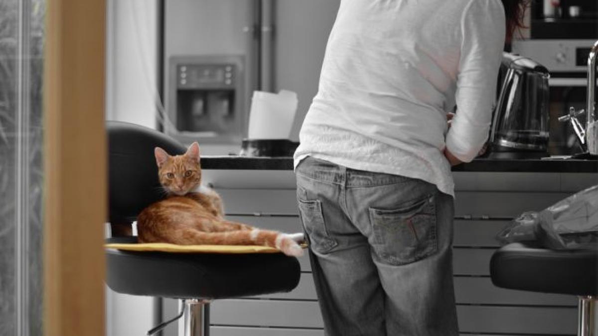 o mancare pe care o consumi des plina de chimicale