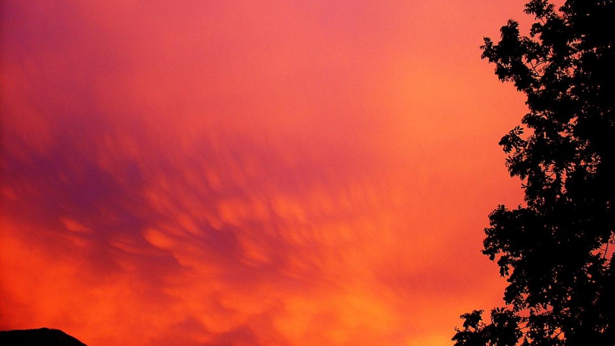 vremea se incalzeste apoi ninge de cand vine frigul