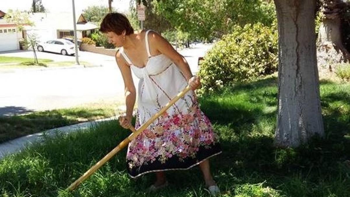 corina dragotescu la un pas sa fie batuta de un fan al lui basescu