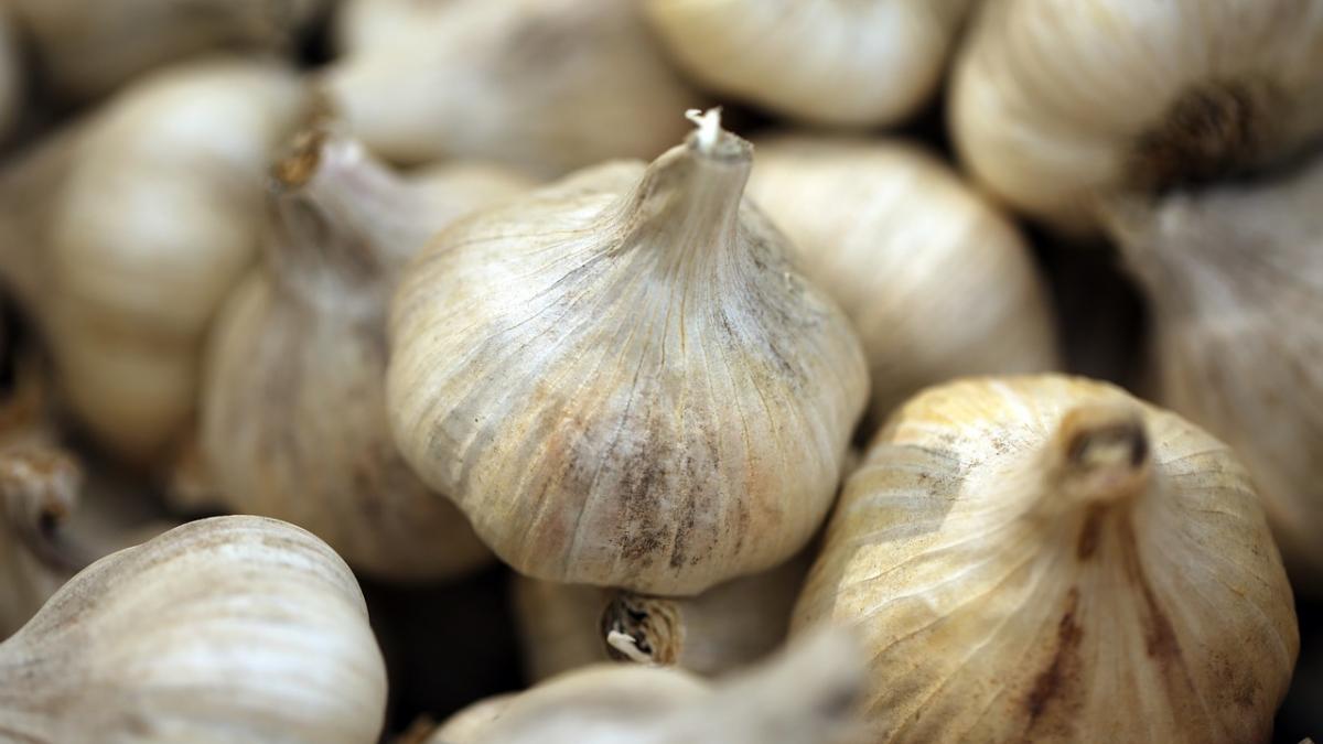 cum scapi rapid de herpes