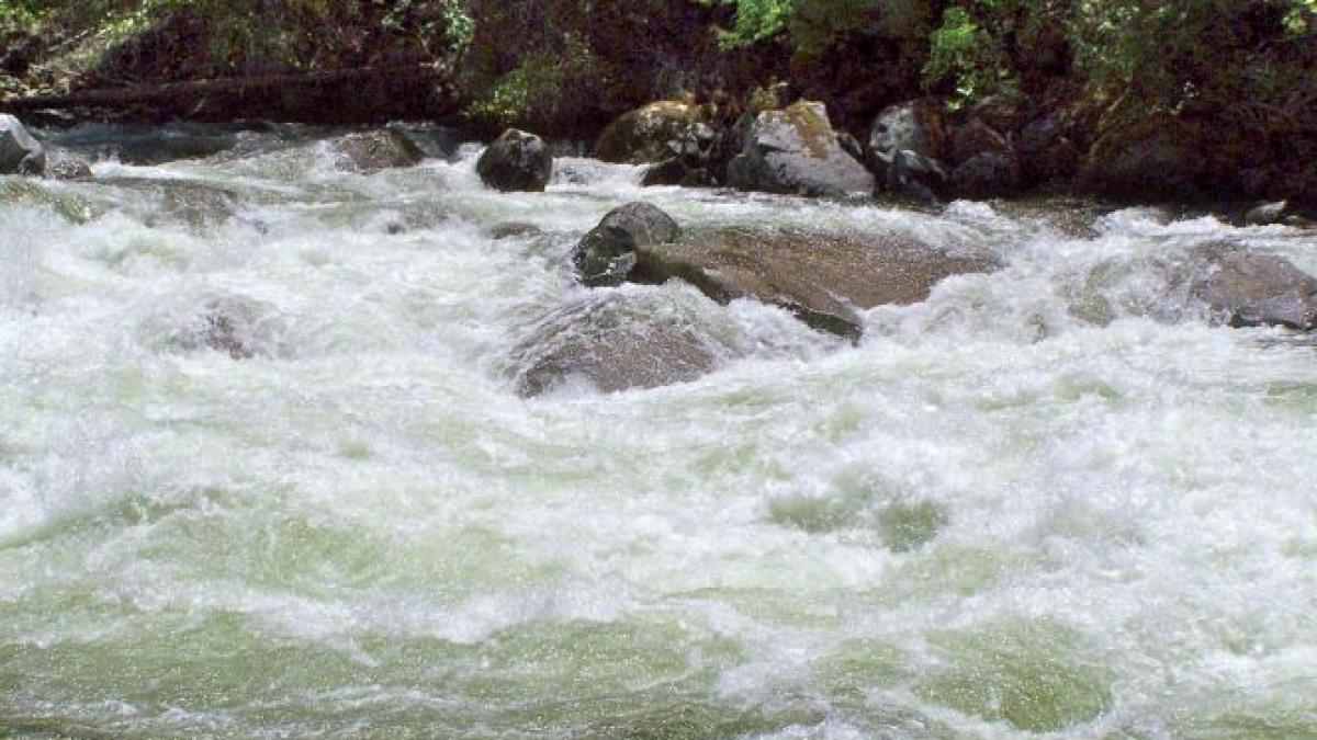 o doctorita a confundat acceleratia cu frana si a plonjat in apa