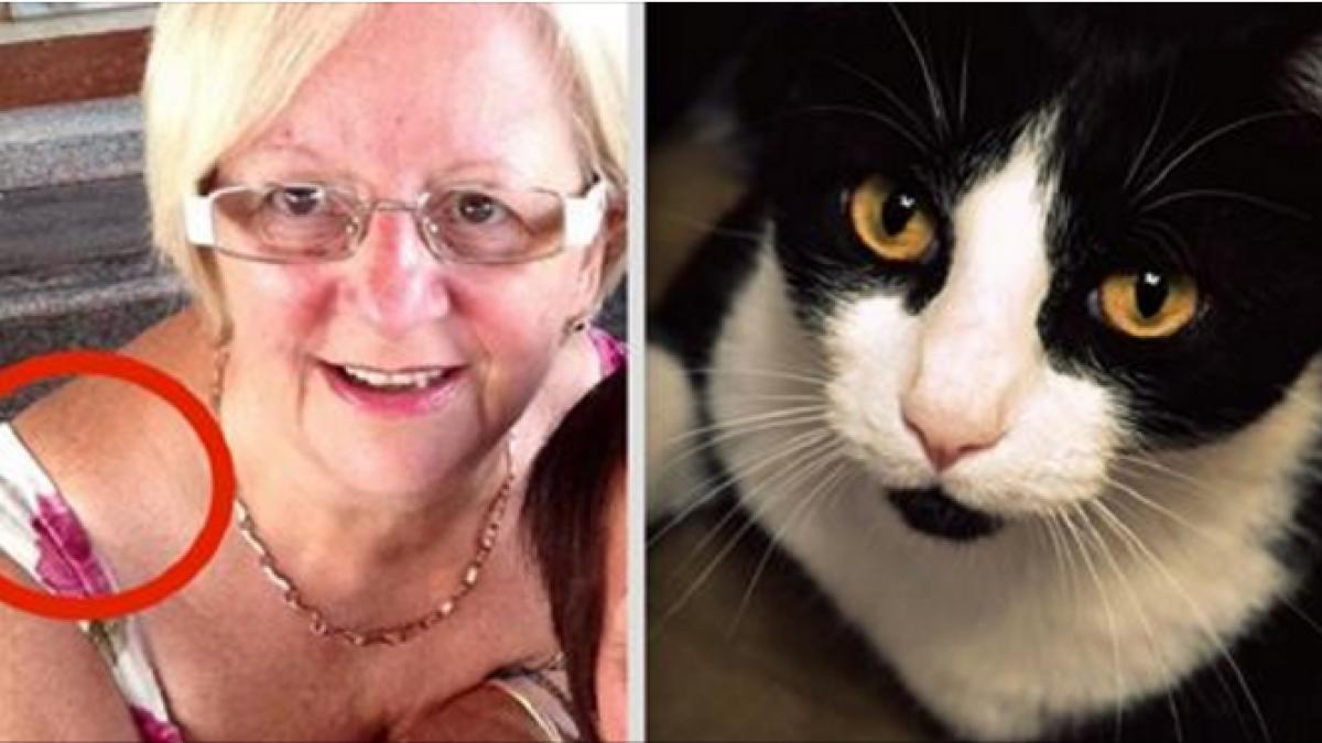 a observat ca pisica voia mereu sa fie luata in brate ca sa ajunga la umarul sau la inceput nu a