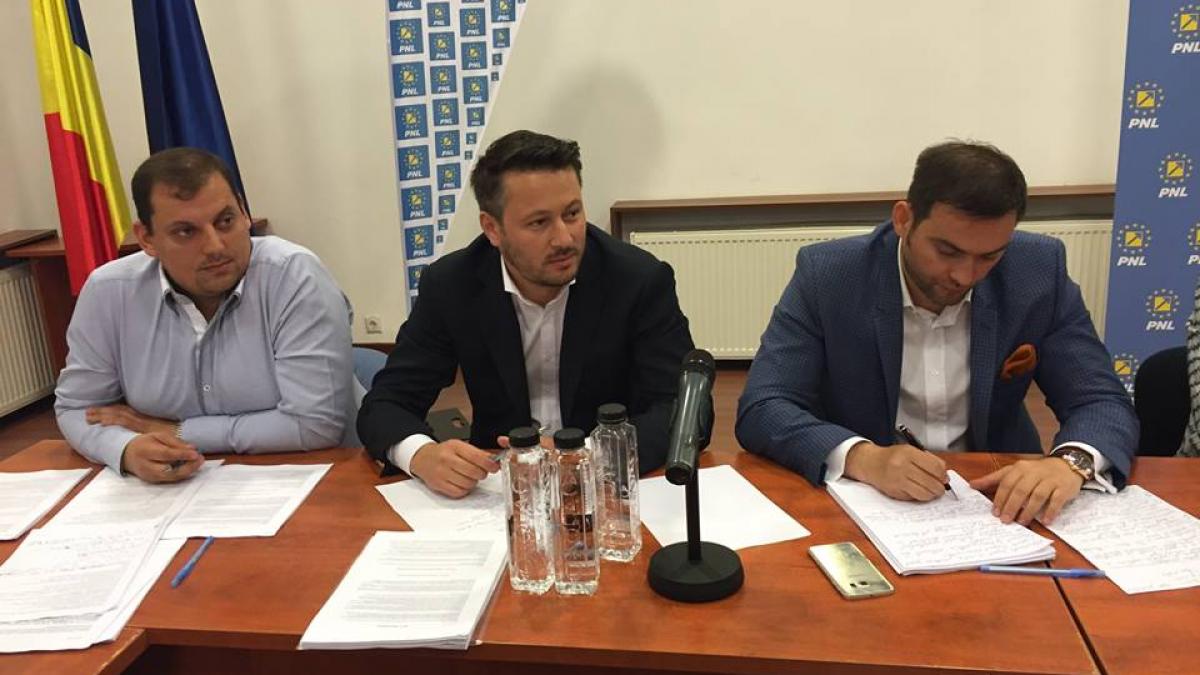 alegeri parlamentare 2016 senator pnl cap de lista la alde