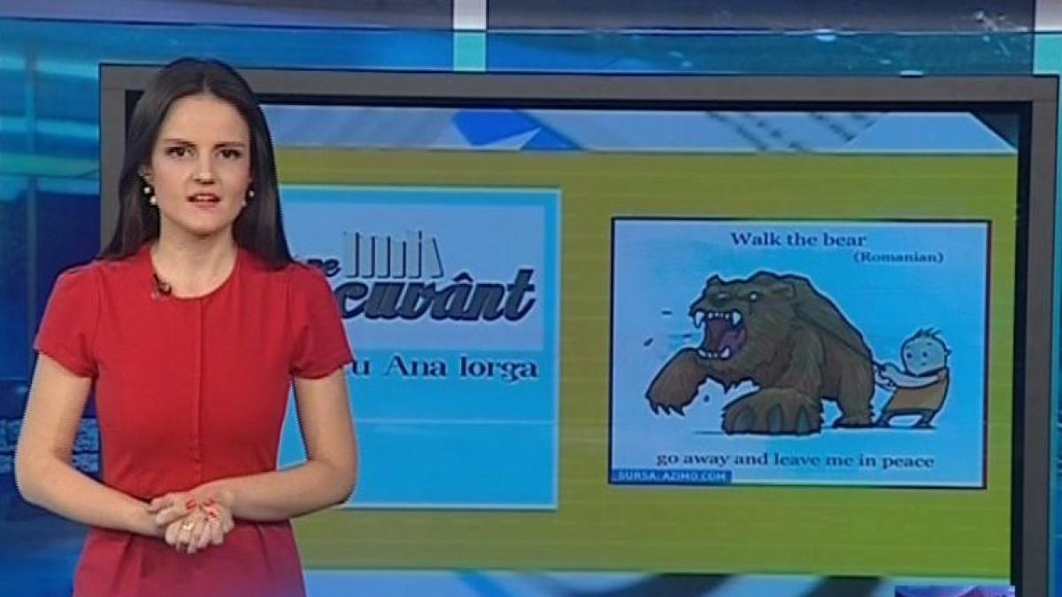 pe cuvant cu ana iorga ursul din expresiile din limba romana