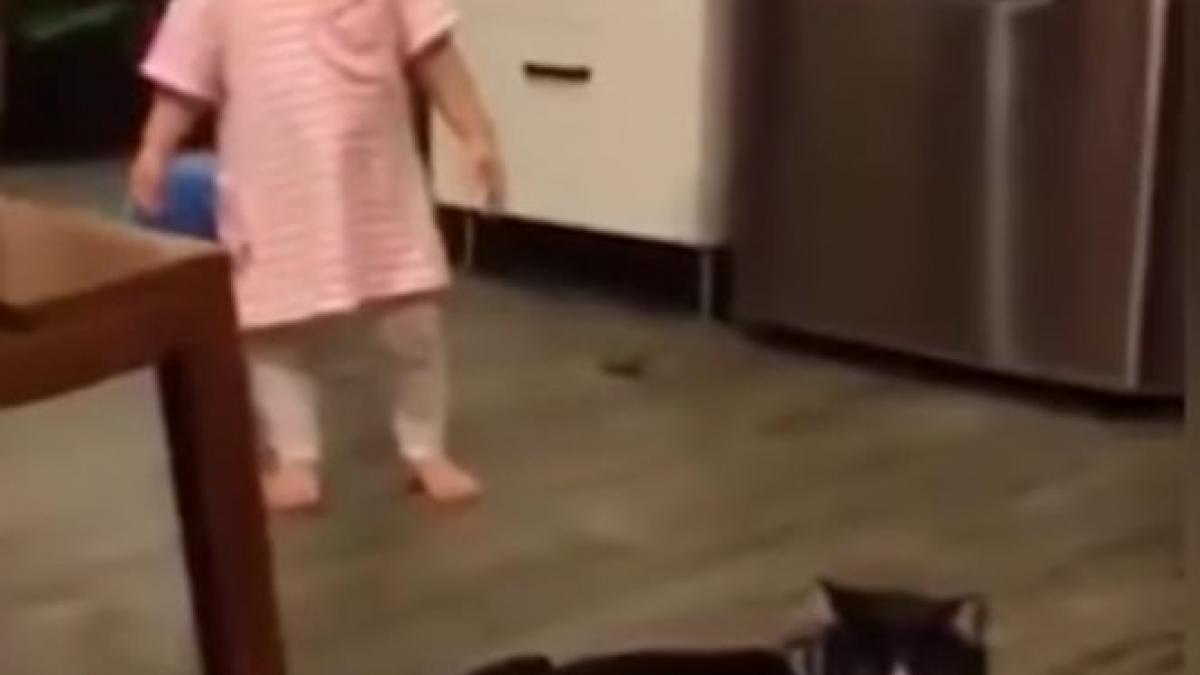 o pisica ii pune piedica unei fetite