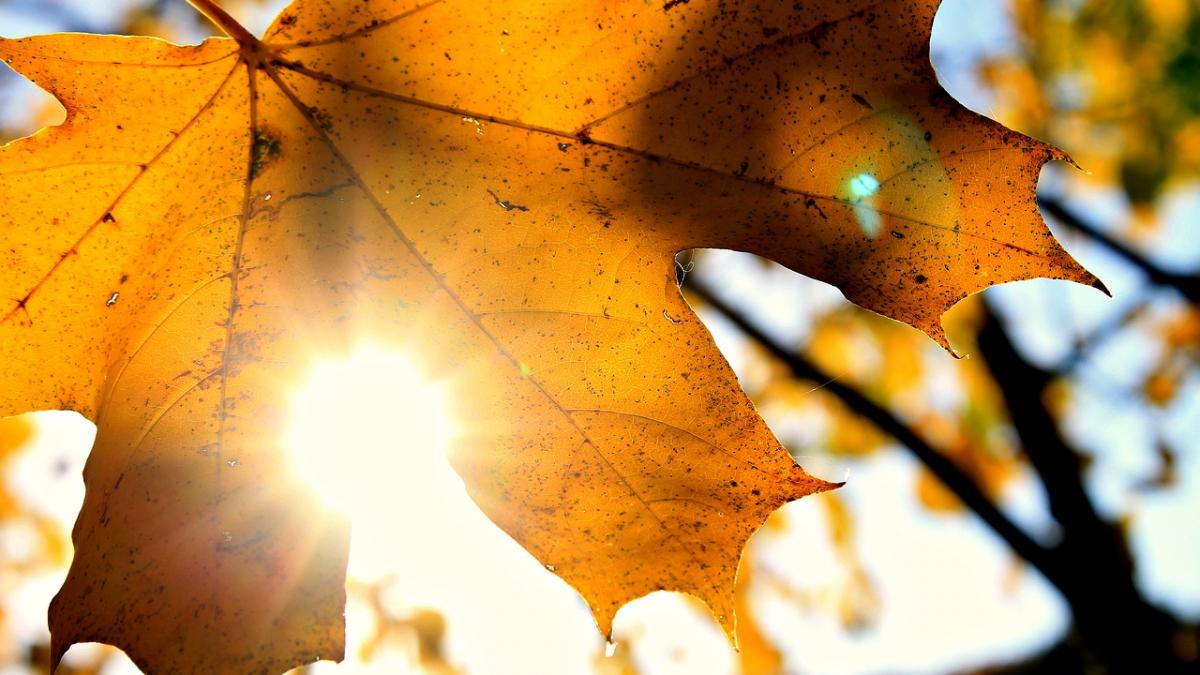 vreme rece in toata tara cu temperaturi maxime de pana la 14 grade