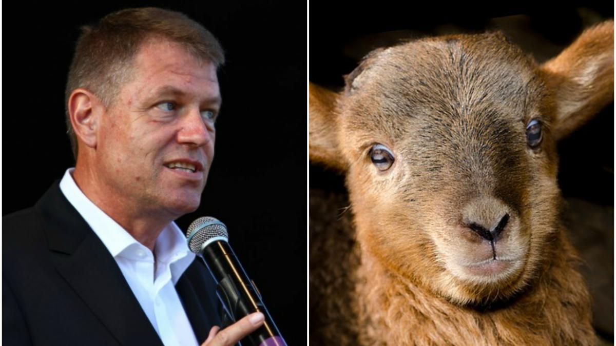 klaus iohannis a botezat un miel ce nume i a dat