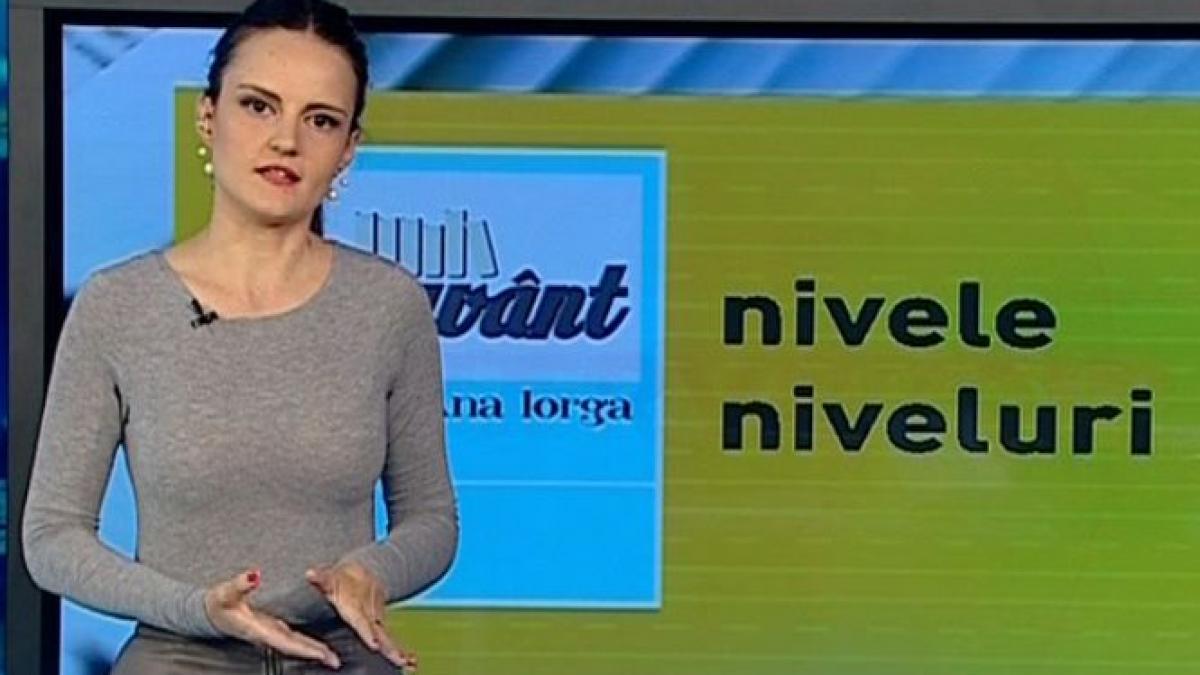 pe cuvant cu ana iorga care e diferenta dintre nivele si niveluri