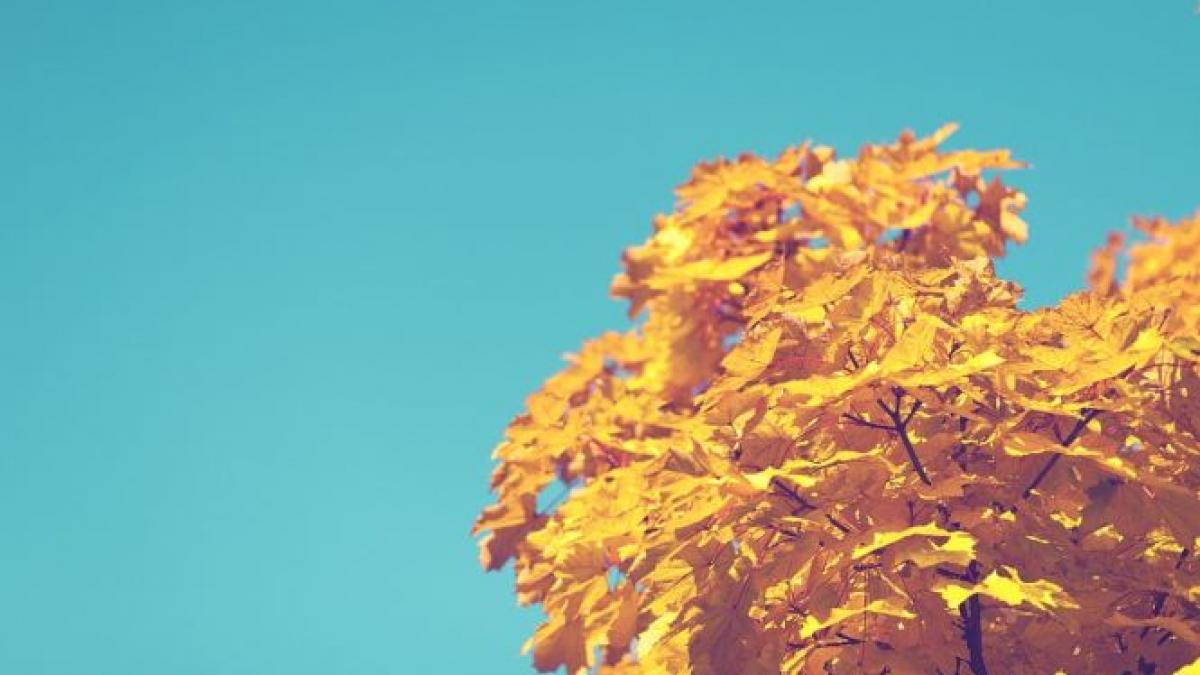 prognoza meteo weekend