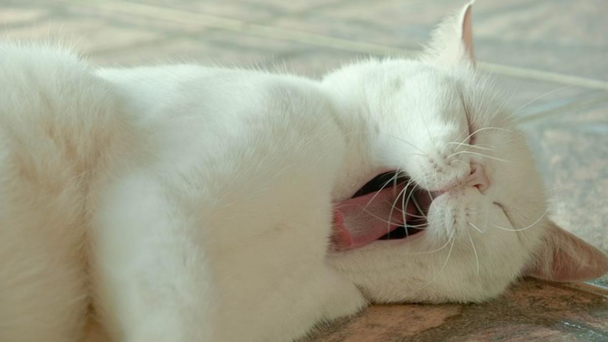 superstitii fabuloase despre cascat