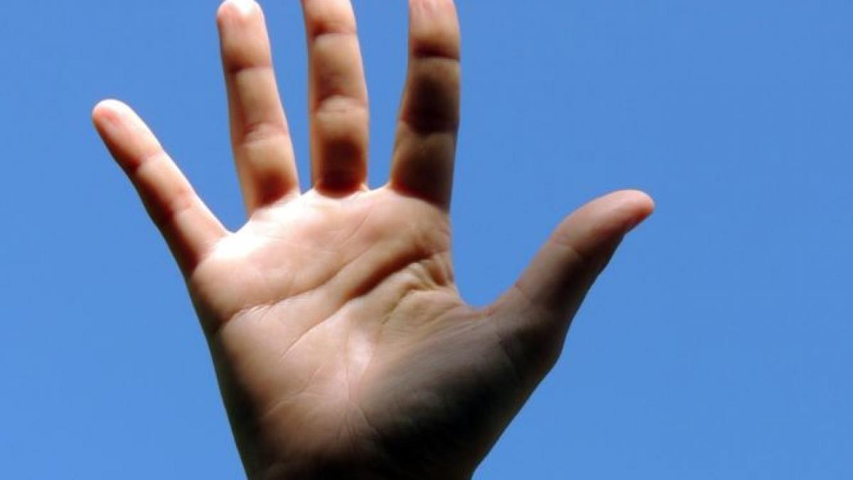 de ce au mainile oamenilor forma actuala