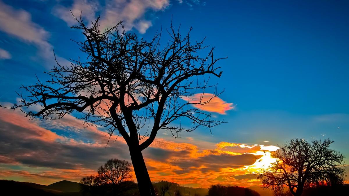 prognoza meteo pentru urmatoarele zile