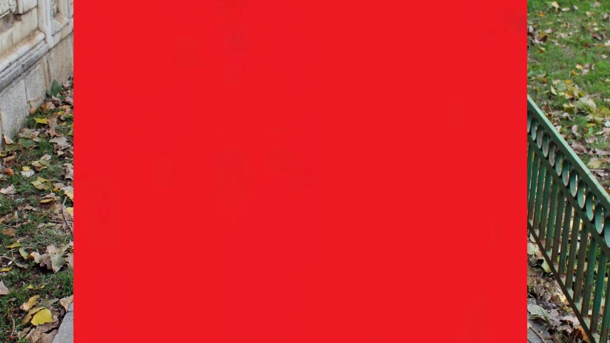 ce a aparut pe o strada intens circulata din bucuresti