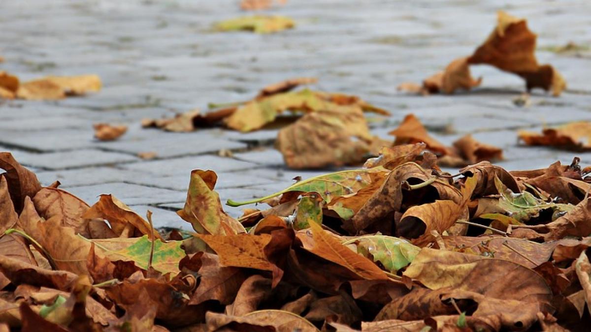 cod galben de vant puternic valabil pentru noua judete din tara