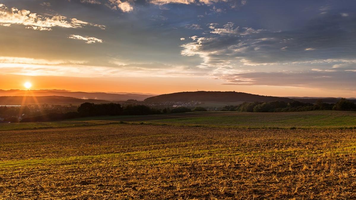 descoperire macabra langa iasi autoritatile nu au o explicatie