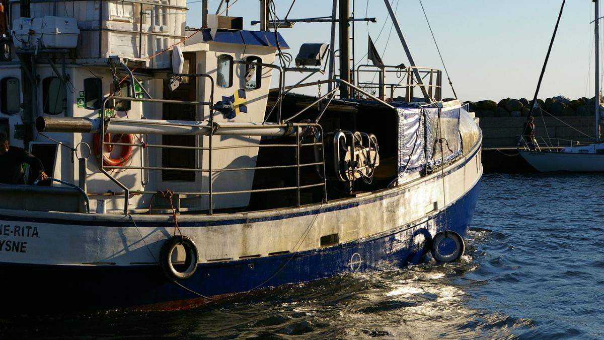 au crezut ca au dat lovitura insa abia cand au adus captura la bord au descoperit ce au prins