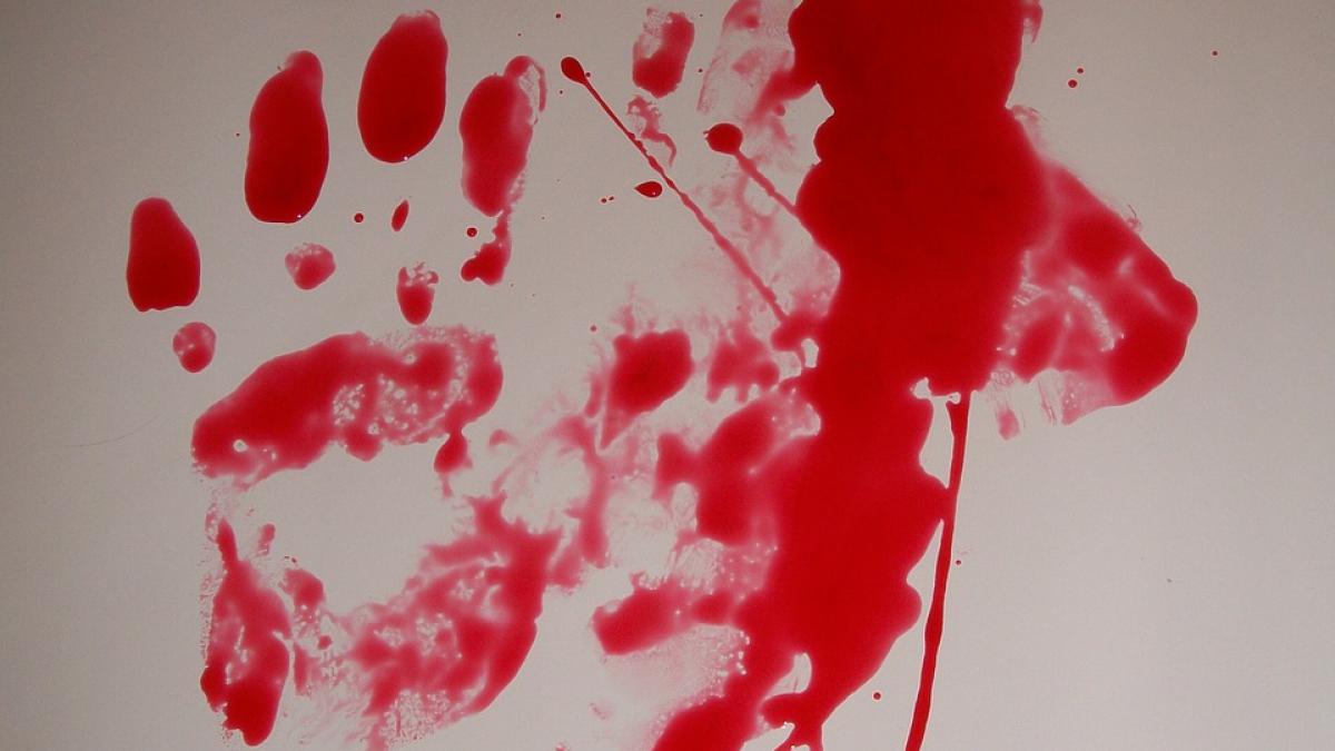 crima socanta la galati un barbat si a decapitat mama si i a infipt capul intr un gard