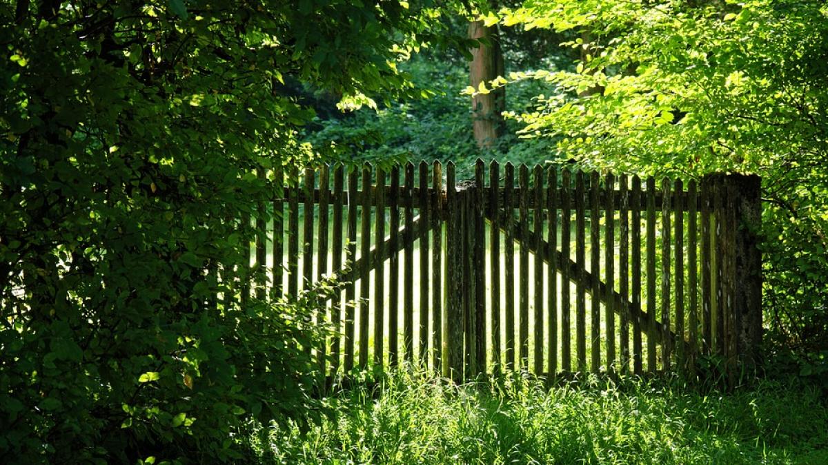 si a pierdut verigheta in timp ce lucra in gradina nu credea ca o va mai recupera vreodata dar dupa