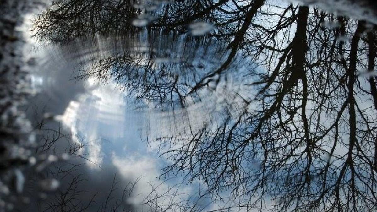 atentionari de ceata vant si ploi locale in 15 judete din moldova dobrogea transilvania muntenia si