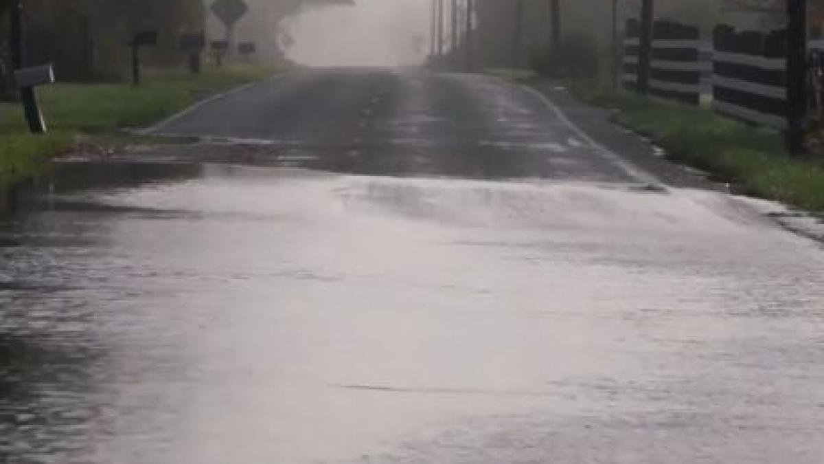 sofa pe o strada inundata cand a pus frana brusc era fix in fata lui si a scos imediat telefonul sa