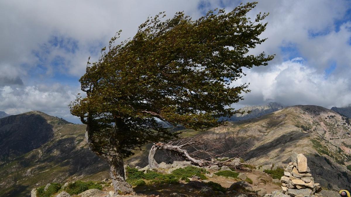 avertizare meteo cod galben de vant puternic pana la ora 23 00 ce zone sunt vizate