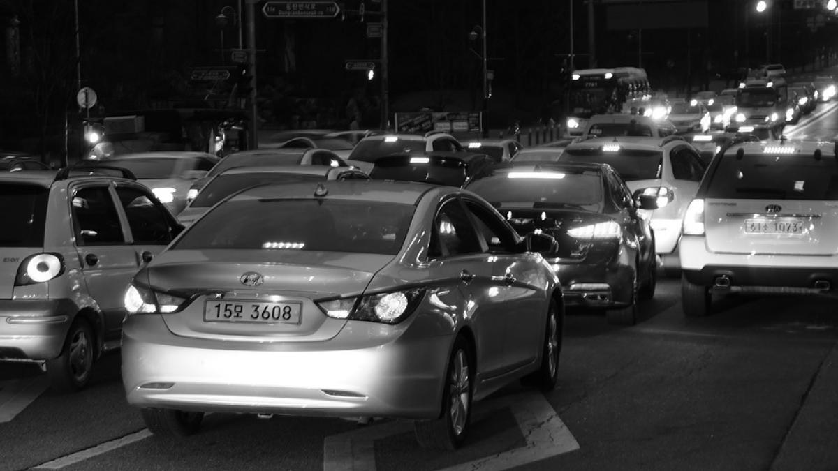 traficul rutier ingreunat pe dn 1 in zona statiunii azuga mai multi copaci au fost doborati de