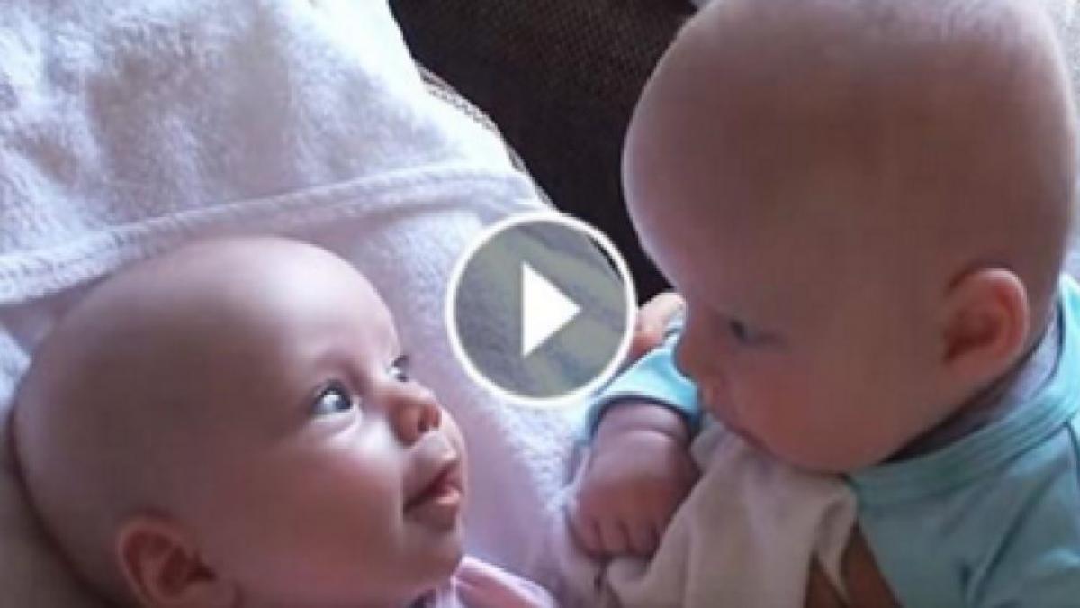 video acest tatic isi filma gemenii cand au inceput sa faca acest lucru uimitor