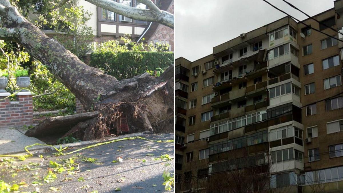 vremea face ravagii in capitala si in jumatate de tara mai multe masini au fost distruse de copacii