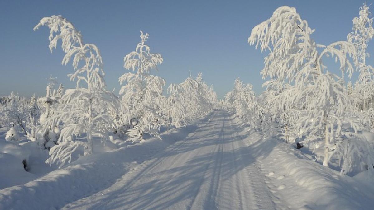 de ce este alba zapada