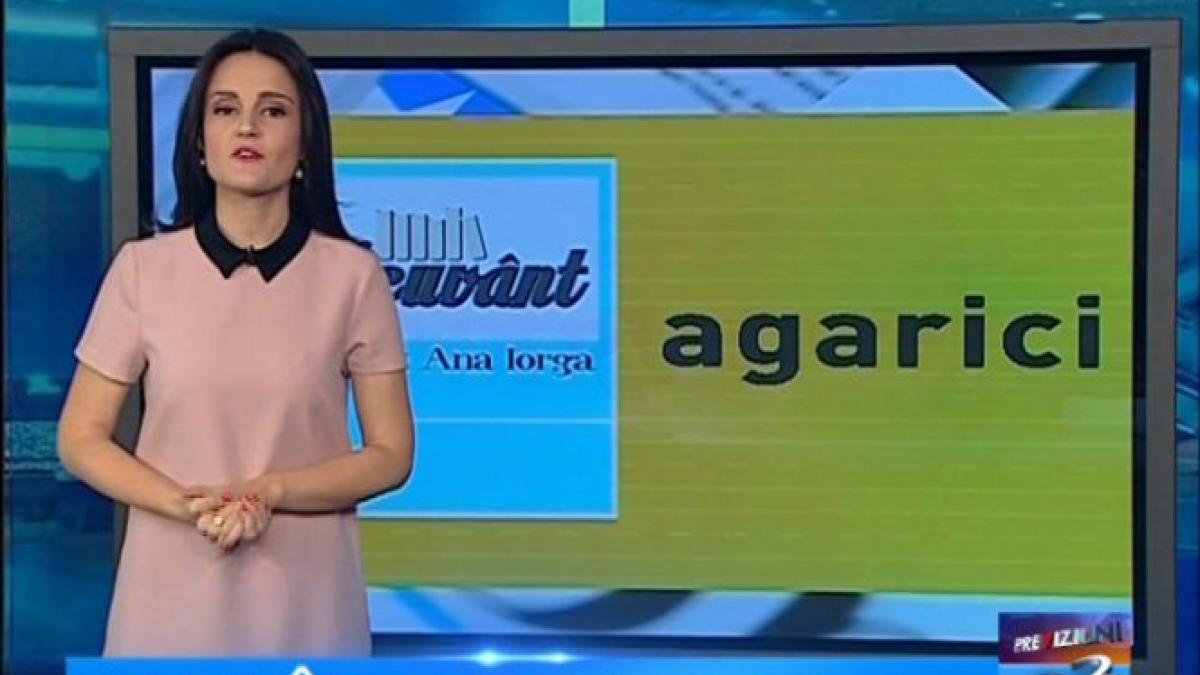 pe cuvant cu ana iorga