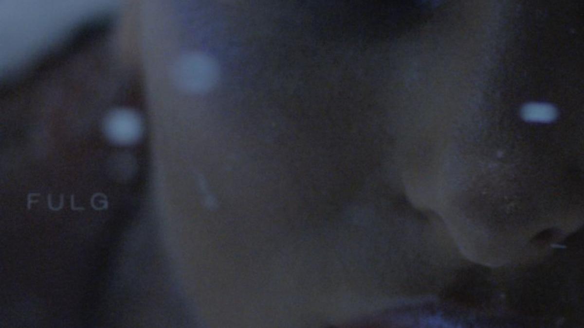 delia a lansat videoclipul piesei fulg video