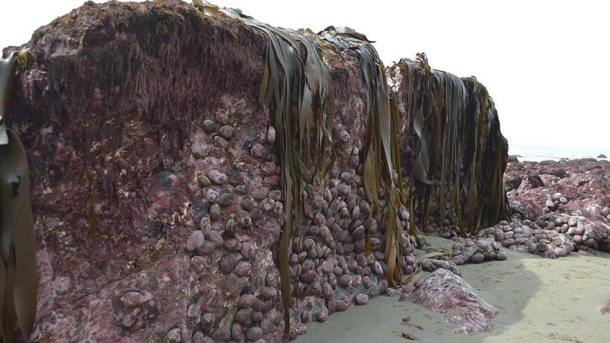 efectele devastatoare ale seismului din noua zeelanda ies abia acum la suprafata