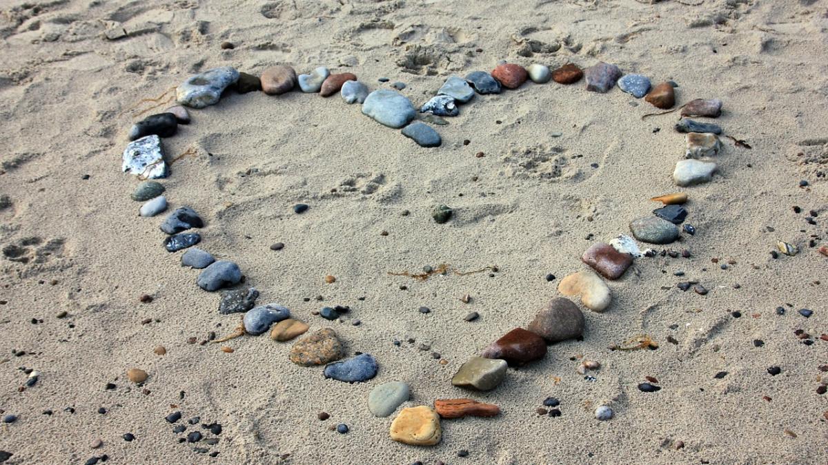 black friday 2016 vacante la preturi sub 50 de euro de black friday 2016