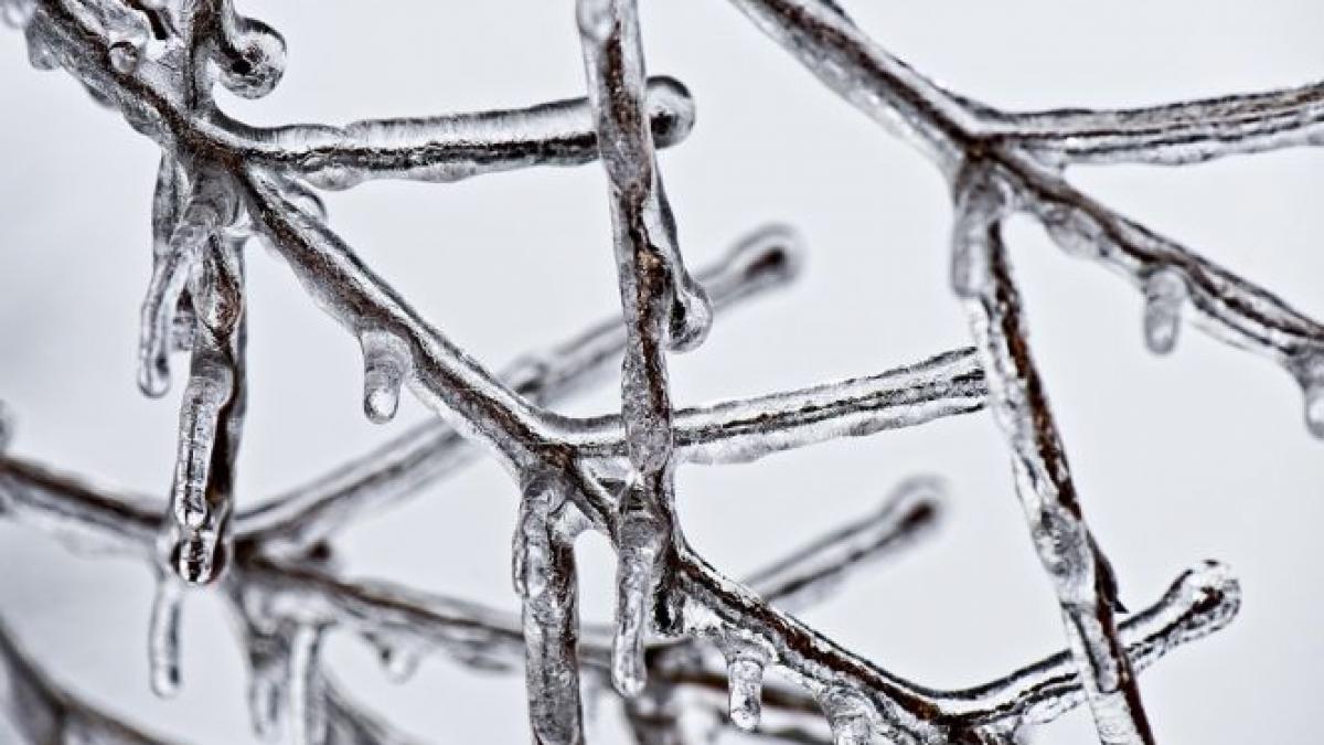 gerul a facut primele victime doi barbati au murit de frig