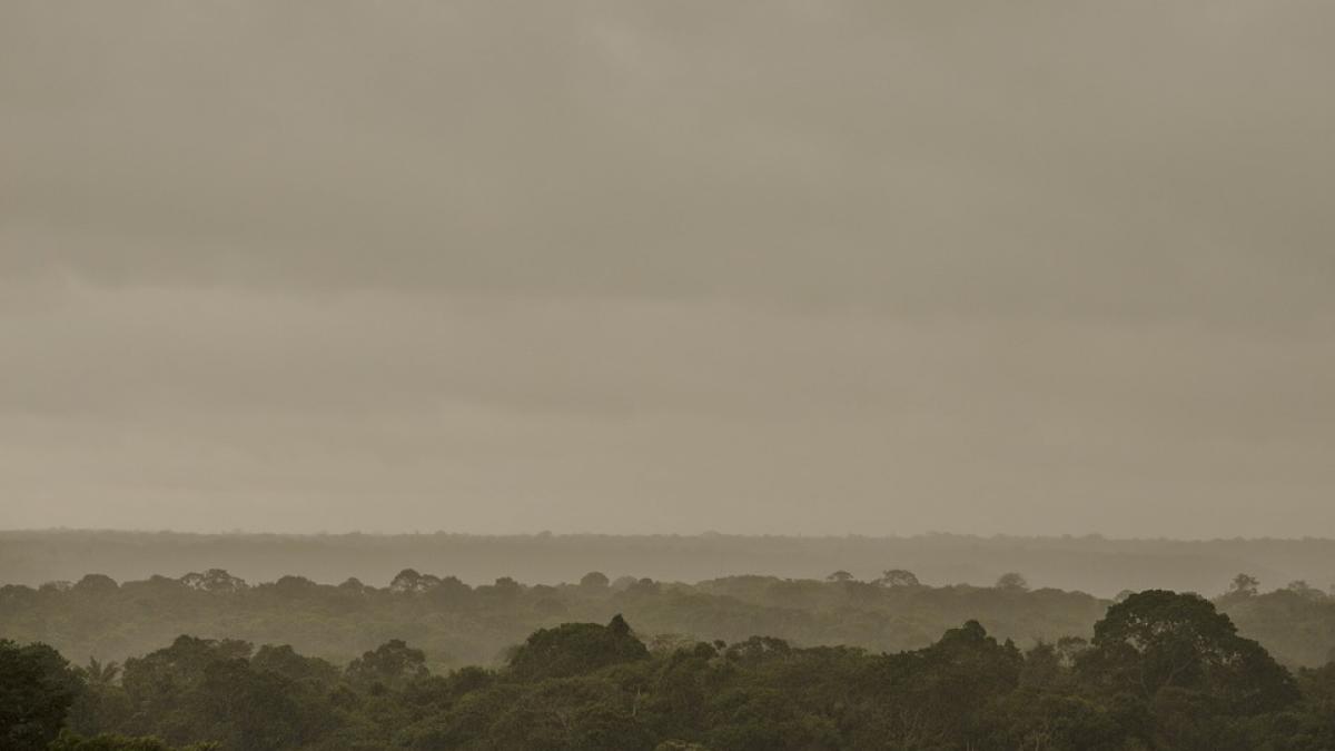 descoperire uluitoare faceau fotografii din avion deasupra junglei amazoniene cand au vazut ceva