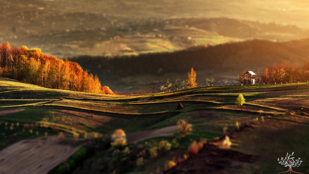 pozele unui roman virale pe internet fotografiile impresionante reusite cu un aparat banal