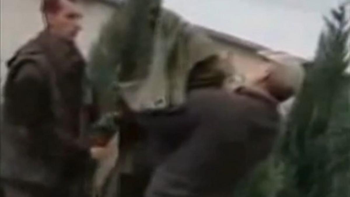 aparitie socanta in curtea unor romani video