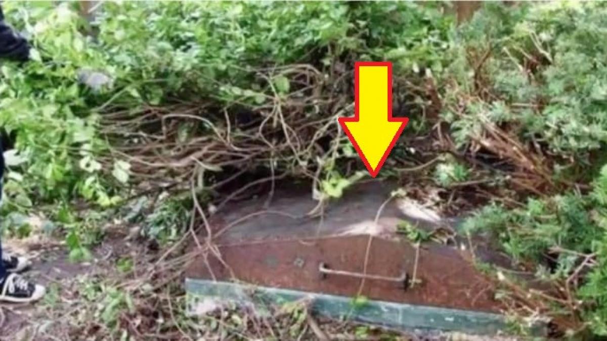 in gradina casei pe care au cumparat o era o usa de metal care ducea sub pamant timp de 10 ani nu