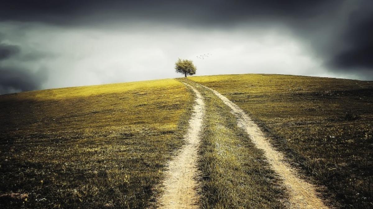 o femeie a fost gasita moarta pe camp in mioveni